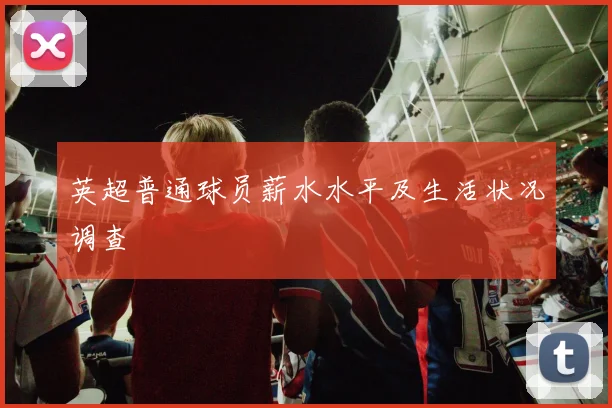 英超普通球员薪水水平及生活状况调查