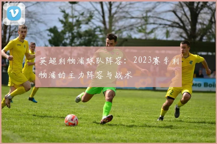 英超利物浦球队阵容：2023赛季利物浦的主力阵容与战术