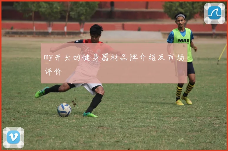 my开头的健身器材品牌介绍及市场评价