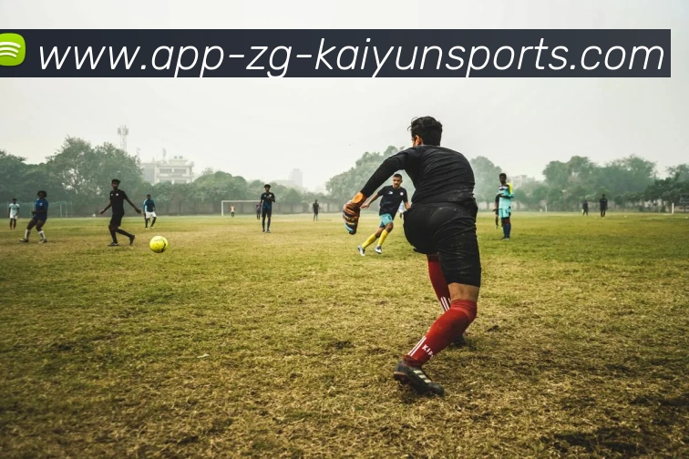 开云app平台生态图