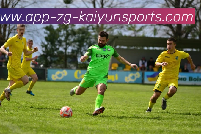 开云appAPP 封面图